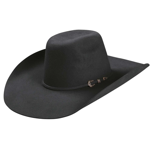 CHAPÉU FELTRO 30X STETSON