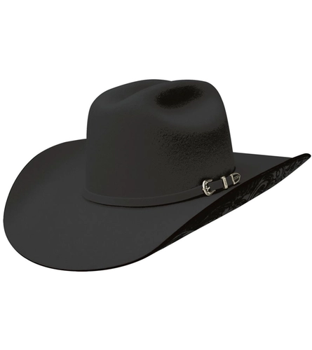 CHAPÉU FELTRO STETSON