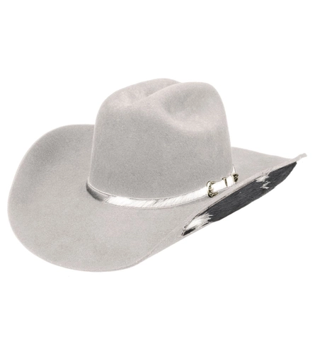 CHAPÉU FELTRO STETSON